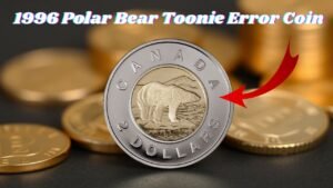 1996 Polar Bear Toonie Error Coin Fetches Record-Breaking Price