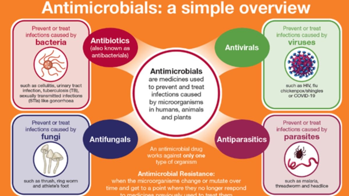 Role of Clinical Pharmacists in Antimicrobial Stewardship